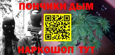 индика Беслан