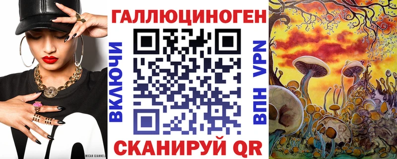 Псилоцибиновые грибы Psilocybine cubensis  Купить  Елабуга 