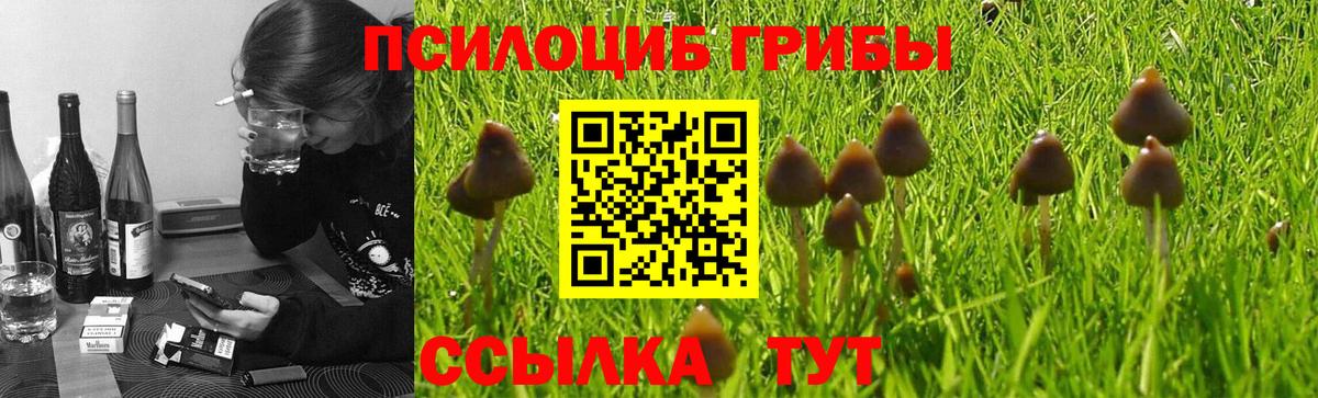 Галлюциногенные грибы Psilocybine cubensis  как найти закладки  Елабуга  Вход с VPN 