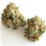 Шишки "White Widow"  (Белая вдова)  Гидропоника -  Бошка VHQ в Елабуге